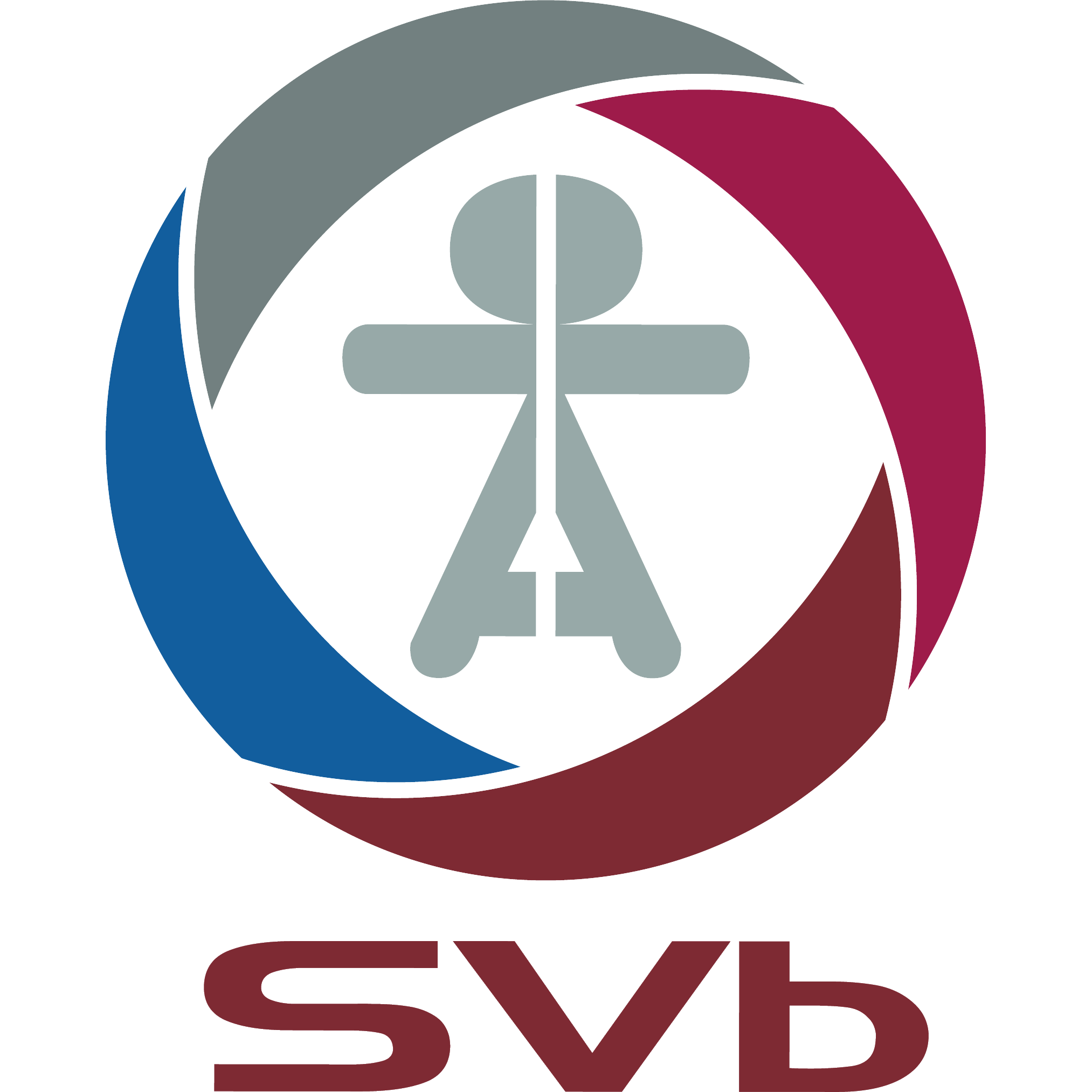 SVb Logo SVb Logo